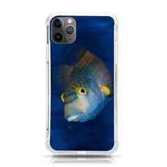 Fish Blue Animal Water Nature Iphone 11 Pro Max 6 5 Inch Tpu Uv Print Case by Hannah976