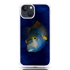 Fish Blue Animal Water Nature Iphone 13 Tpu Uv Print Case by Hannah976