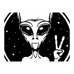 Alien Ufo Two Sides Premium Plush Fleece Blanket (mini) by Bedest