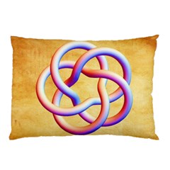 Img 20231205 235101 779 Pillow Case (two Sides) by Ndesign