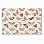 Pattern With Butterflies Moths Postcards 5  x 7  (Pkg of 10) Front