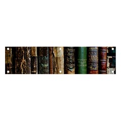 Assorted Color Books Old Macro Banner And Sign 4  X 1  by Cendanart