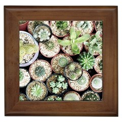 Cactus Nature Plant Desert Framed Tile by Bedest