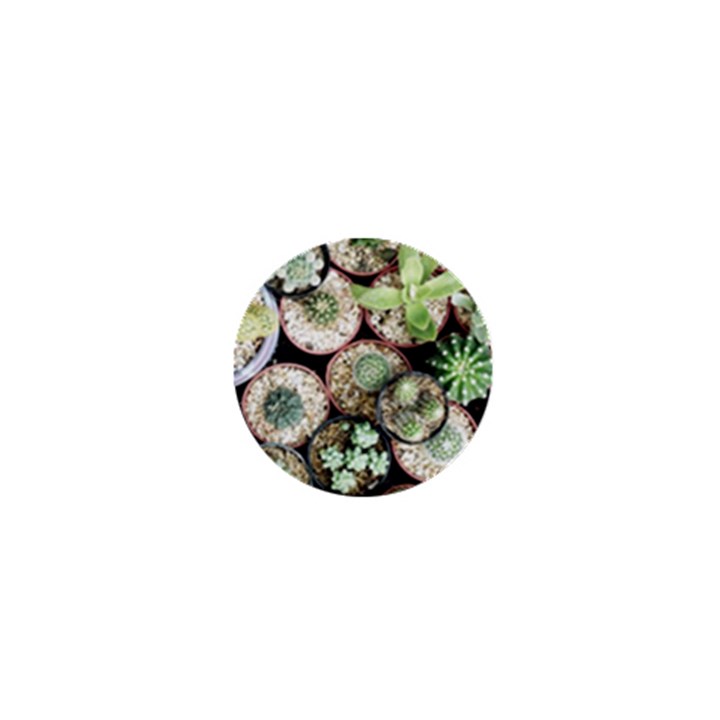 Cactus Nature Plant Desert 1  Mini Magnets