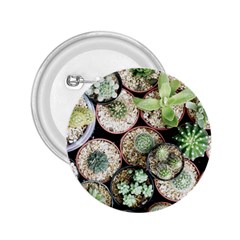 Cactus Nature Plant Desert 2 25  Buttons by Bedest