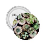 Cactus Nature Plant Desert 2.25  Buttons Front