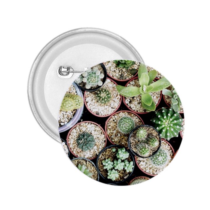 Cactus Nature Plant Desert 2.25  Buttons