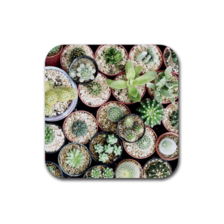 Cactus Nature Plant Desert Rubber Coaster (Square)