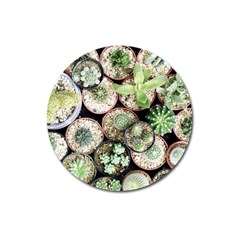 Cactus Nature Plant Desert Magnet 3  (round) by Bedest