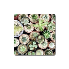 Cactus Nature Plant Desert Square Magnet by Bedest