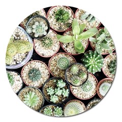 Cactus Nature Plant Desert Magnet 5  (round) by Bedest