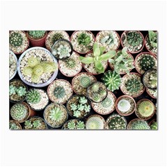 Cactus Nature Plant Desert Postcard 4 x 6  (pkg Of 10) by Bedest