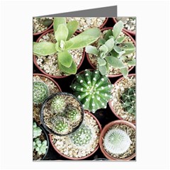 Cactus Nature Plant Desert Greeting Card by Bedest