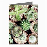 Cactus Nature Plant Desert Greeting Cards (Pkg of 8) Left