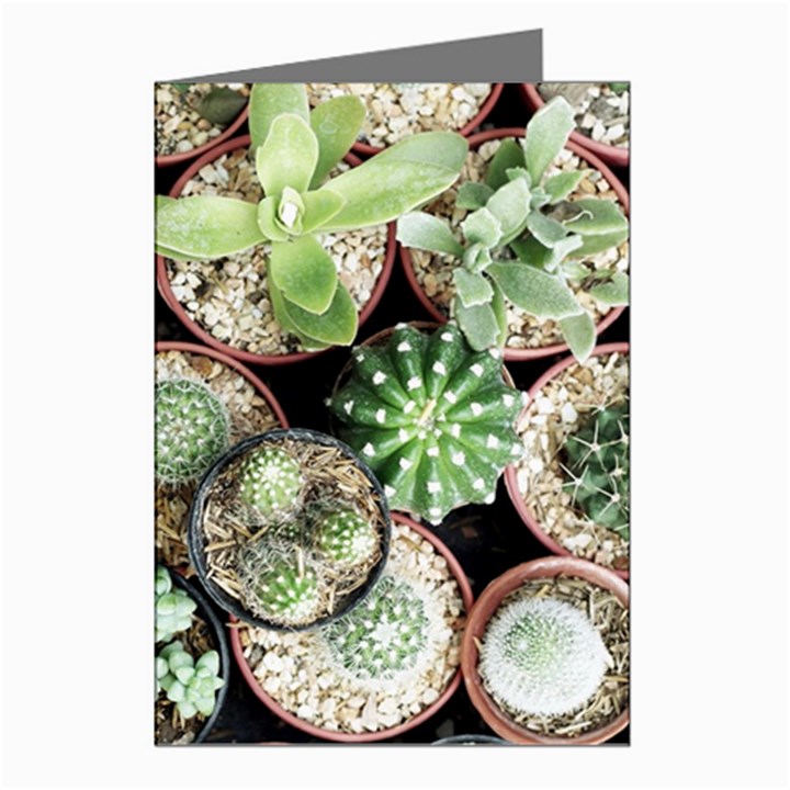 Cactus Nature Plant Desert Greeting Cards (Pkg of 8)