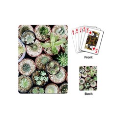 Cactus Nature Plant Desert Playing Cards Single Design (mini) by Bedest