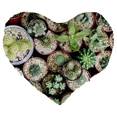 Cactus Nature Plant Desert Large 19  Premium Heart Shape Cushions by Bedest