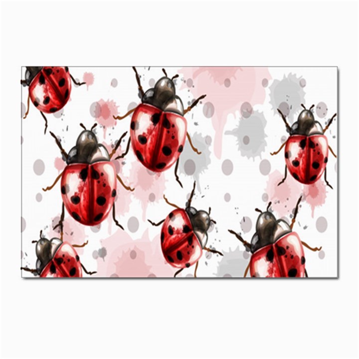 Ladybugs Pattern Texture Watercolor Postcards 5  x 7  (Pkg of 10)