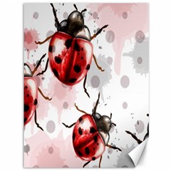 Ladybugs Pattern Texture Watercolor Canvas 36  X 48  by Bedest