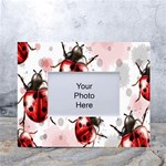 Ladybugs Pattern Texture Watercolor White Tabletop Photo Frame 4 x6  Front