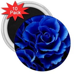 Blue Roses Flowers Plant Romance Blossom Bloom Nature Flora Petals 3  Magnets (10 Pack)  by Bedest