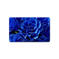 Blue Roses Flowers Plant Romance Blossom Bloom Nature Flora Petals Magnet (name Card) by Bedest