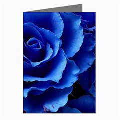 Blue Roses Flowers Plant Romance Blossom Bloom Nature Flora Petals Greeting Cards (pkg Of 8) by Bedest