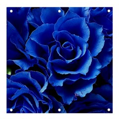 Blue Roses Flowers Plant Romance Blossom Bloom Nature Flora Petals Banner And Sign 4  X 4  by Bedest