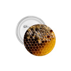 Honeycomb With Bees 1 75  Buttons by Bedest