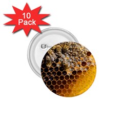 Honeycomb With Bees 1 75  Buttons (10 Pack) by Bedest