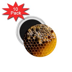 Honeycomb With Bees 1 75  Magnets (10 Pack)  by Bedest