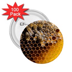 Honeycomb With Bees 2 25  Buttons (100 Pack)  by Bedest