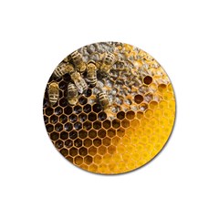 Honeycomb With Bees Magnet 3  (round) by Bedest