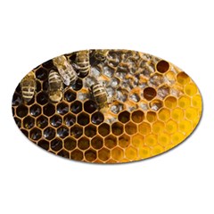 Honeycomb With Bees Oval Magnet by Bedest