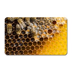 Honeycomb With Bees Magnet (rectangular) by Bedest