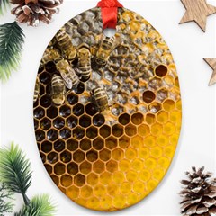 Honeycomb With Bees Oval Ornament (two Sides) by Bedest