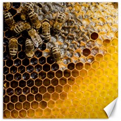 Honeycomb With Bees Canvas 20  X 20  by Bedest