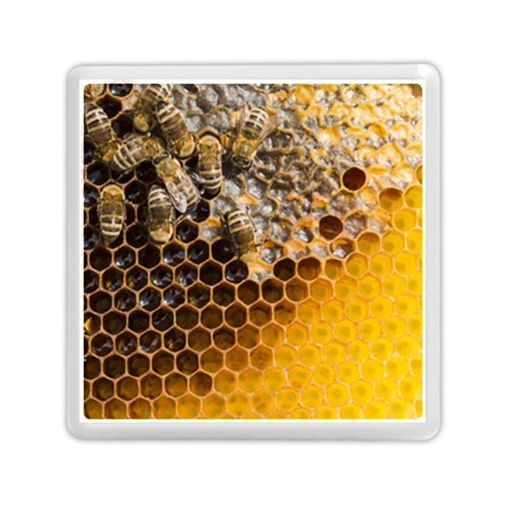 Honeycomb With Bees Memory Card Reader (Square)