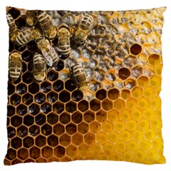 Honeycomb With Bees Large Cushion Case (two Sides) by Bedest