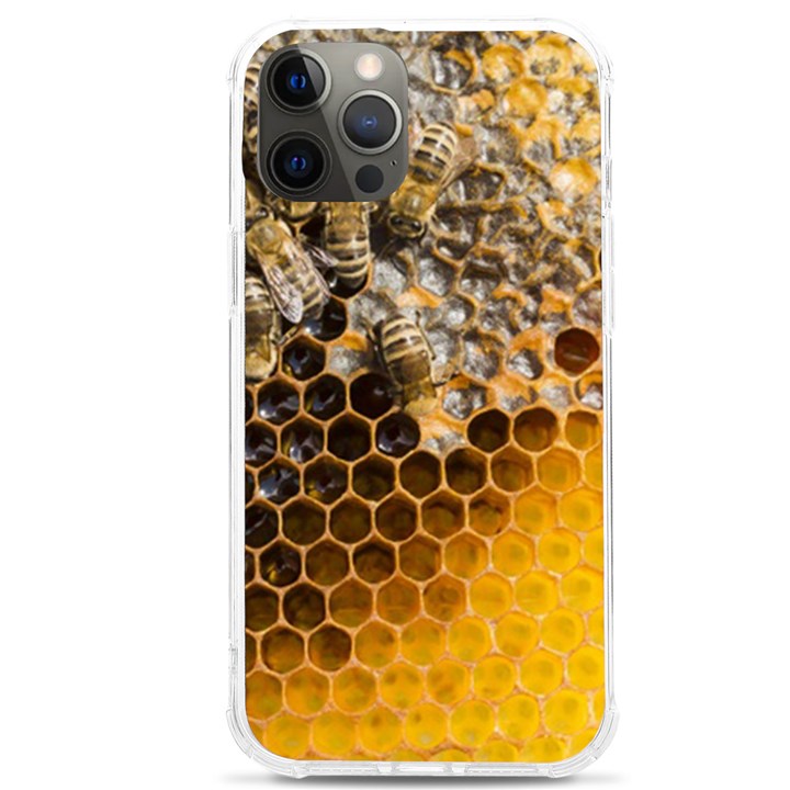 Honeycomb With Bees iPhone 12 Pro max TPU UV Print Case