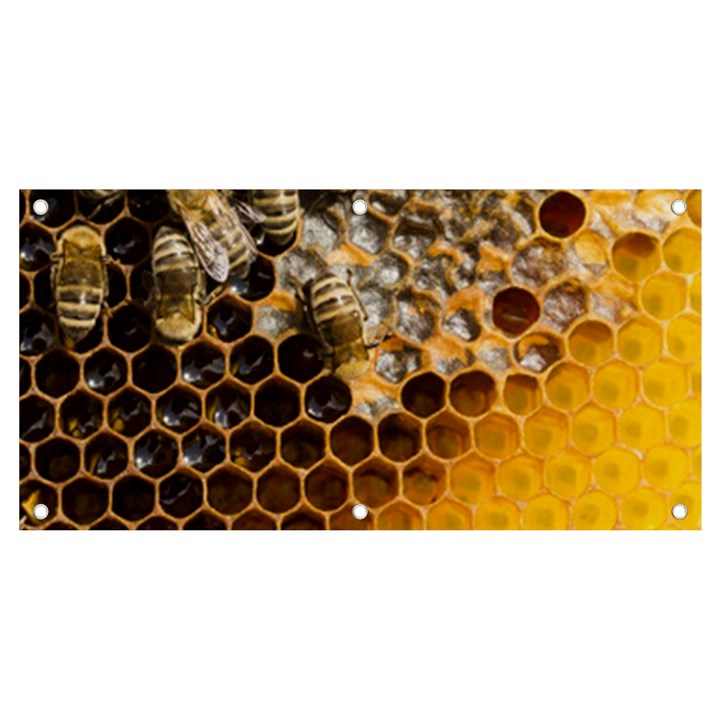 Honeycomb With Bees Banner and Sign 4  x 2 