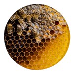 Honeycomb With Bees Round Glass Fridge Magnet (4 pack) Front