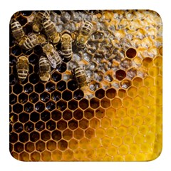 Honeycomb With Bees Square Glass Fridge Magnet (4 Pack) by Bedest