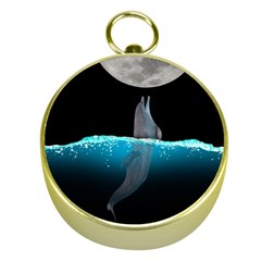 Dolphin Moon Water Gold Compasses by Ndabl3x