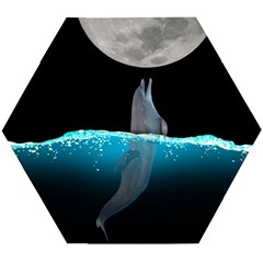 Dolphin Moon Water Wooden Puzzle Hexagon by Ndabl3x