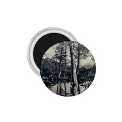 Dry Forest Landscape, Tierra Del Fuego, Argentina 1 75  Magnets by dflcprintsclothing