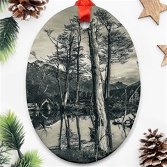 Dry Forest Landscape, Tierra Del Fuego, Argentina Ornament (oval) by dflcprintsclothing