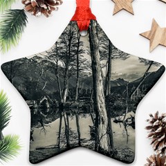 Dry Forest Landscape, Tierra Del Fuego, Argentina Ornament (star) by dflcprintsclothing