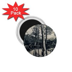 Dry Forest Landscape, Tierra Del Fuego, Argentina 1 75  Magnets (10 Pack)  by dflcprintsclothing