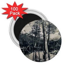 Dry Forest Landscape, Tierra Del Fuego, Argentina 2 25  Magnets (100 Pack)  by dflcprintsclothing